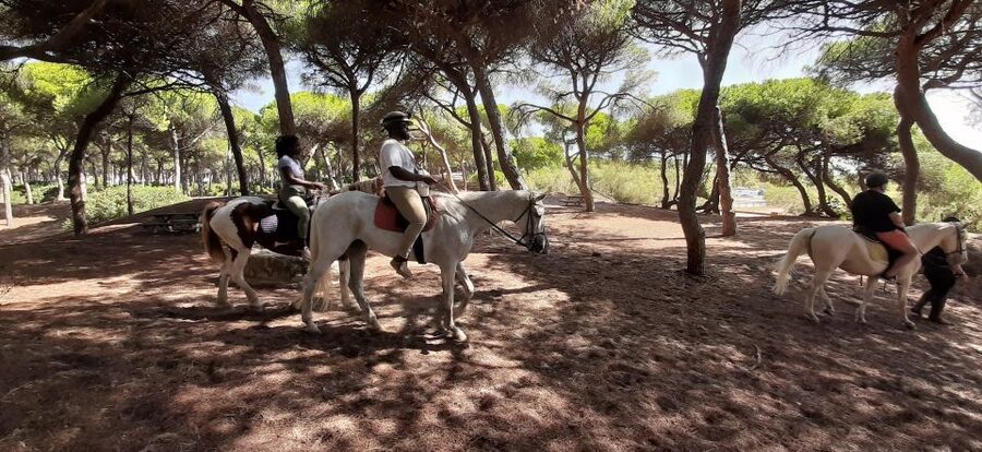 Cádiz Country side: Ride an Andalusian Horse - Weather, timing, and the Cádiz sun