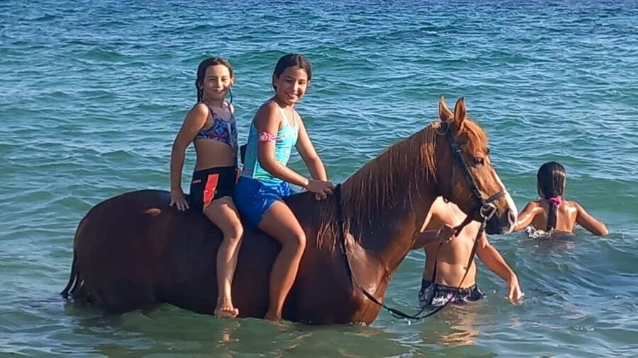 Cagliari: horseback riding with sunrise dive - Is $91 per person a fair price?