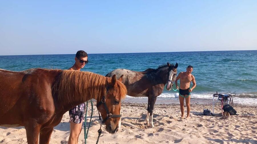Cagliari: horseback riding with sunrise dive - Riding beside the quiet shoreline