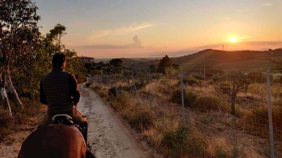 Cagliari: panoramic horseback riding - A strong choice for families, couples, and friends