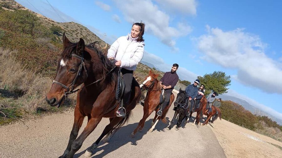 Cagliari: panoramic horseback riding - Getting to the riding school