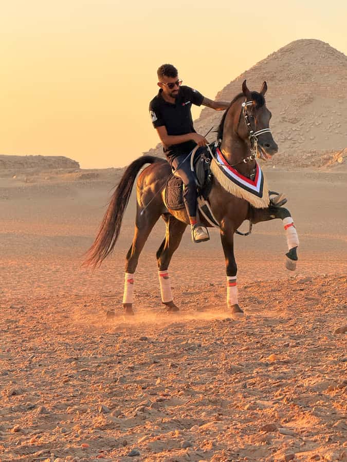 Cairo: Horse Riding tour at Pyramids of Giza - Who will enjoy this ride most?