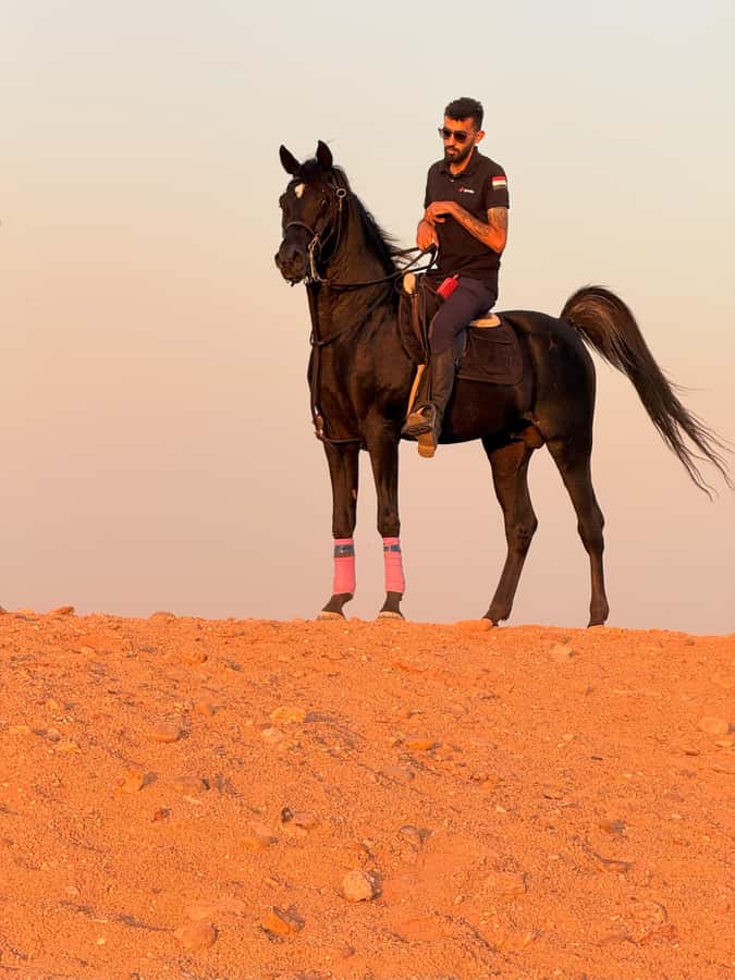 Cairo: Horse Riding tour at Pyramids of Giza - Timing, cancellation, and practical planning