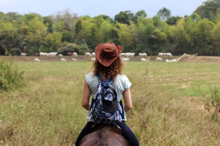 Cali: Horseback Riding - Key points to know before you ride