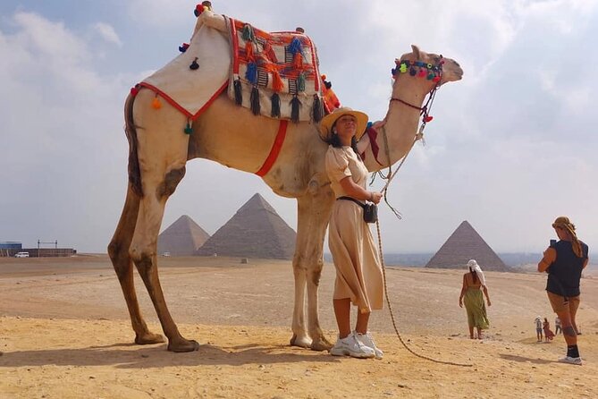 camel or horse Ride in Desert any time from Cairo or Giza hotels - Choosing a camel, horse, or carriage