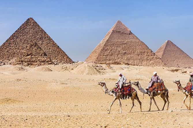 Camel or Horse riding Giza Pyramids Desert - Camel or horse: choosing the better fit