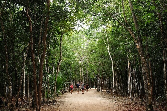 Cancun ATV Adventure, Horseback Riding, Zip Lines, and Cenote - What the $44 price really buys