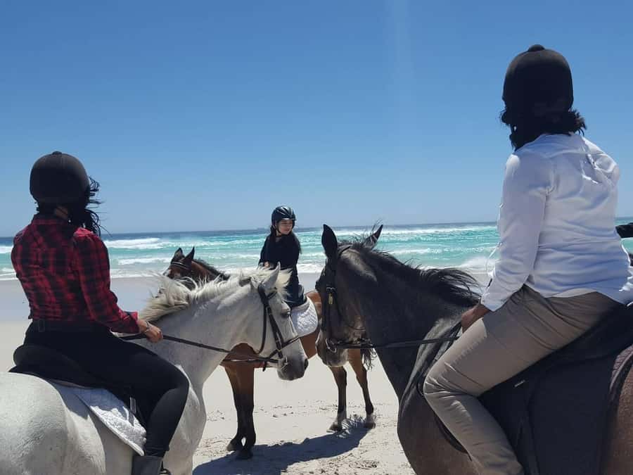 Cape Town: Beach Horse Ride with Hotel Pickup & Drop-off - Key points to know before booking