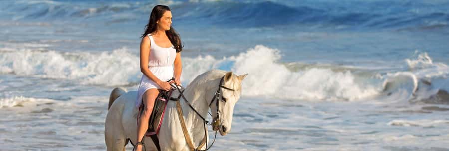 Cape Town: Beach Horse Ride with Hotel Pickup & Drop-off - What the four-hour schedule really means