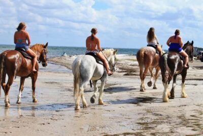Cape Town: Beach Horse Ride with Hotel Pickup & Drop-off