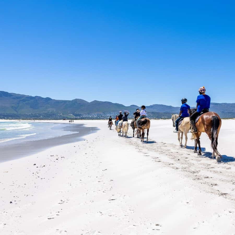 Cape Town: Beach Horse Ride with Hotel Pickup & Drop-off - Who will enjoy this ride most?