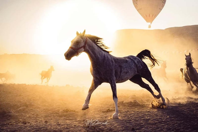 Cappadocia: Fascinating Horse Tour in Göreme Valleys - Why horseback riding fits Cappadocia so well