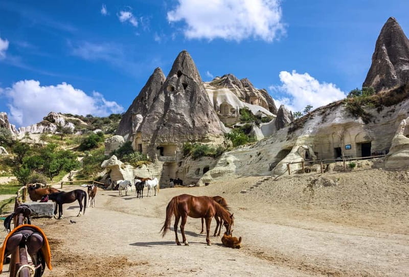 Cappadocia: Göreme Horse Riding, Fairy Chimneys w/Transfer - Key points to know before booking