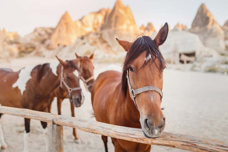 Cappadocia: Göreme Horse Riding, Fairy Chimneys w/Transfer - Sunset departures and the best time to ride