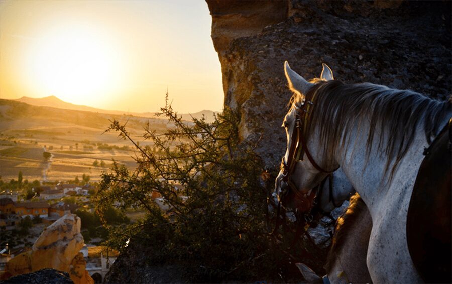 Cappadocia Horse Riding &Atv Quad Bike & Shooting with Camel - Clothes, safety, and comfort