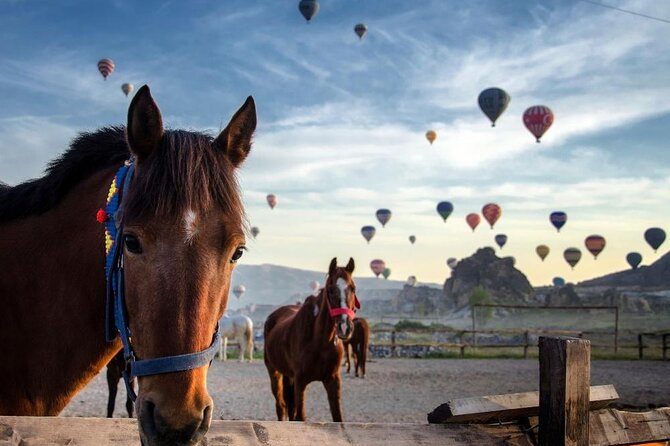 Cappadocia Horse Riding Experience Sunrise Sunset Daytime - Key points to know before booking