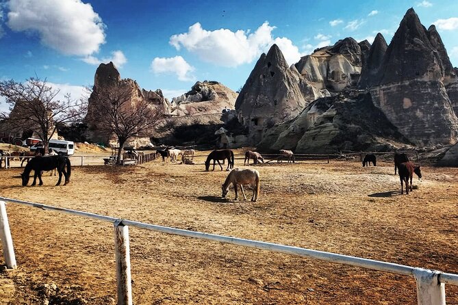 Cappadocia Horse Riding Tour: Sunrise, Sunset, 1 Hour or 2 Hours - Hotel pickup and group size