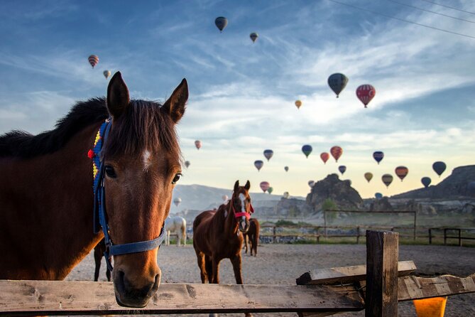 Cappadocia Horse Riding Tour: Sunrise, Sunset, 1 Hour or 2 Hours - Getting started at the ranch