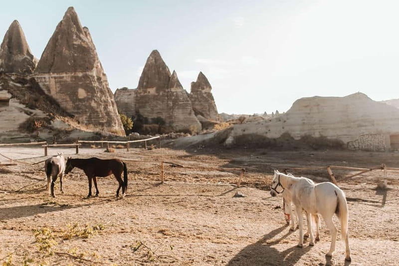 Cappadocia: Horse Riding Tour with Hotel Transfer - Riding through Red and Rose Valleys