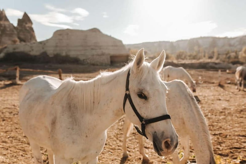 Cappadocia: Horse Riding Tour with Hotel Transfer - Is $32 a fair price?
