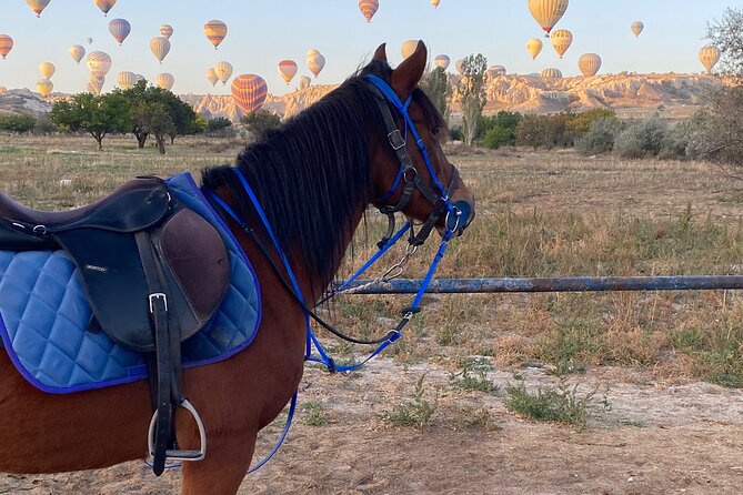 Cappadocia Horseback Ride through Valleys — Sunset/hoteltransfer - Hotel pickup and timing