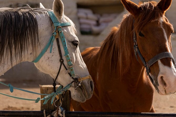Cappadocia Horseback Riding Experience Sunrise, Daytime & Sunset - Rose Valley and the best light of the day