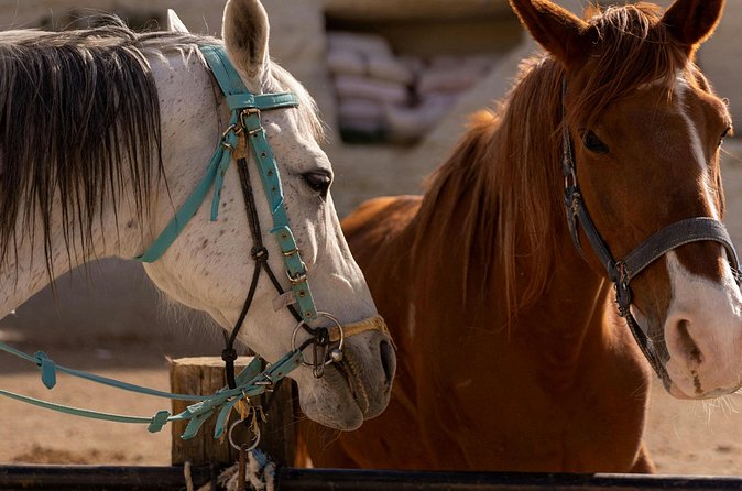 Cappadocia Horseback Riding Experience Sunrise, Daytime & Sunset - What the two-hour format really gives you
