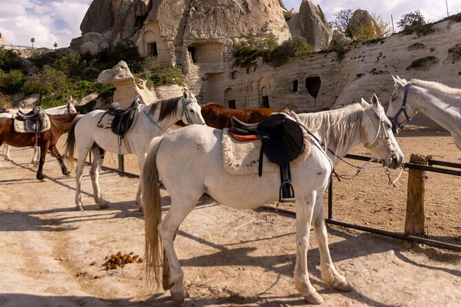 Cappadocia Horseback Riding Experience Sunrise, Daytime & Sunset - Is $27.55 a fair price?