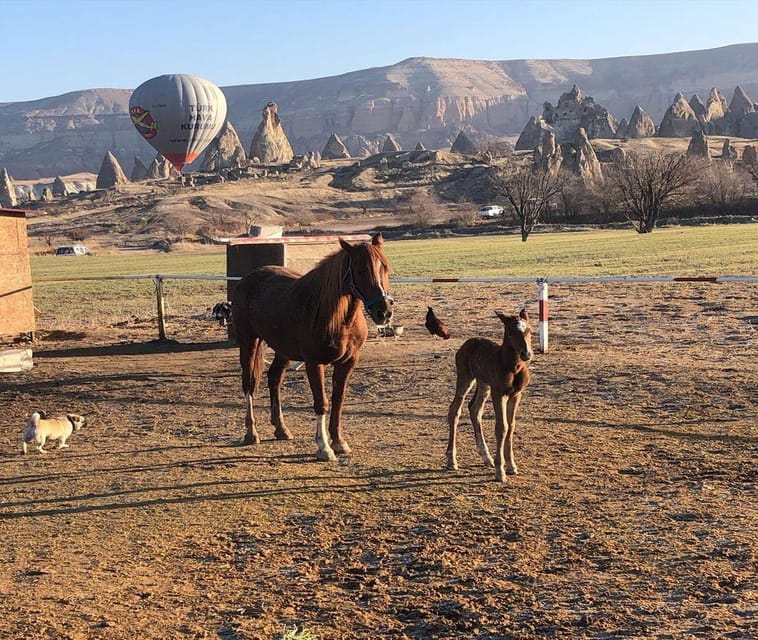 Cappadocia: Horseback Riding Tour in Cappadocia Valleys - Safety, spacing, and staff support