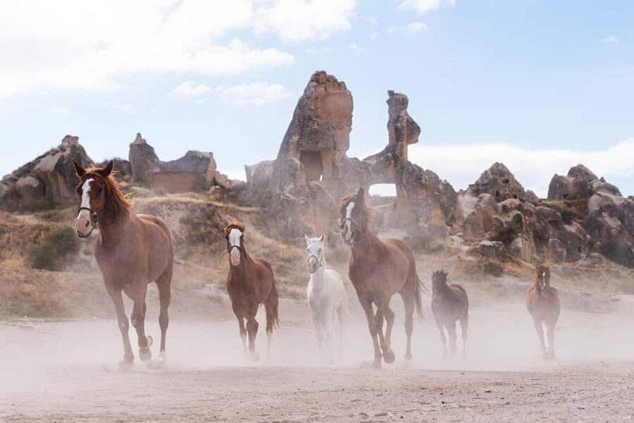 Cappadocia :Horseback Riding Tour Rose-Red Valley/LoveValley - Rose Valley and Red Valley photo stops
