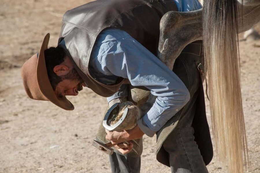 Cappadocia :Horseback Riding Tour Rose-Red Valley/LoveValley - Starting with pickup and basic riding instruction