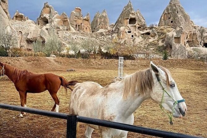 Cappadocia Horseback Riding Tour (Transfer Included) - Why horseback riding suits Cappadocia