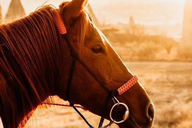 Cappadocia Horseback Riding Tour (Transfer Included) - Rose Valley: a gentle introduction to the scenery