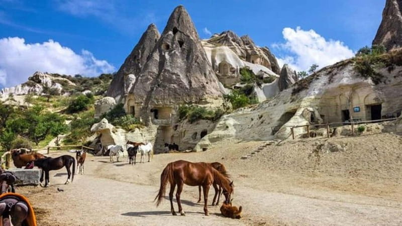 Cappadocia Horseback Riding : Unique Exploration Horse Tour - Key points to know before you saddle up