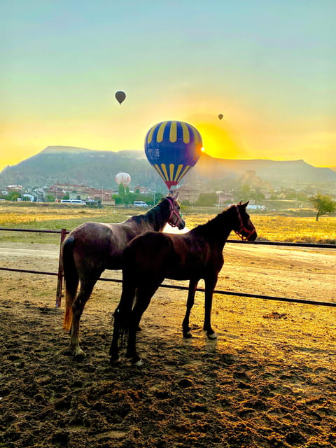 Cappadocia's Sunrise Horseback Riding - Pickup, horses, and the first few minutes
