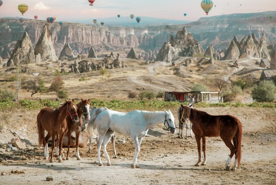 Cappadocia: Sunset Horseback-Riding Tour - The sunset question you should settle early