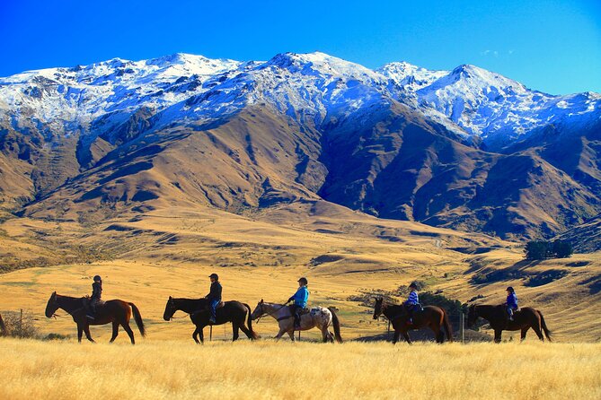 Cardrona High Country Pub Trail Horse Trek (Intermediate level+) - Riding above Cardrona Valley