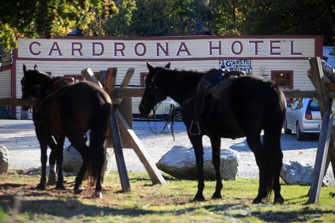 Cardrona High Country Pub Trail Horse Trek (Intermediate level+) - What the small group changes