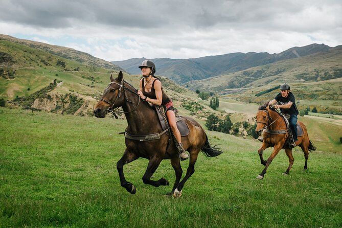 Cardrona High Country Pub Trail Horse Trek (Intermediate level+) - Is NZ$433.78 good value?