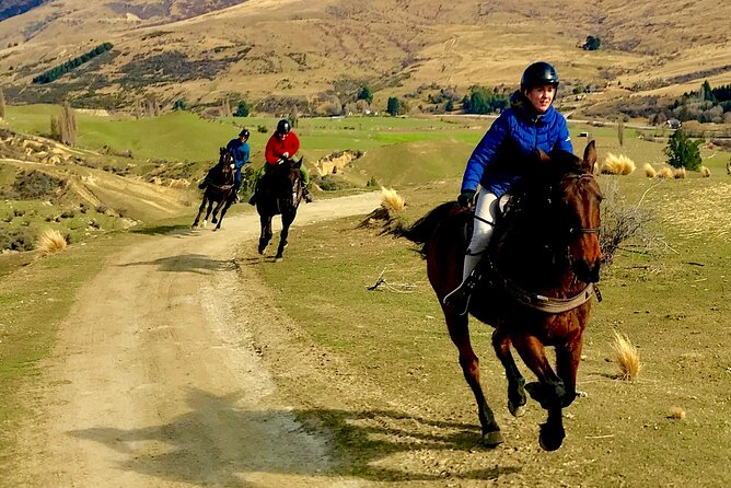 Cardrona High Country Pub Trail Horse Trek (Intermediate level+) - Who should book this Cardrona trek?