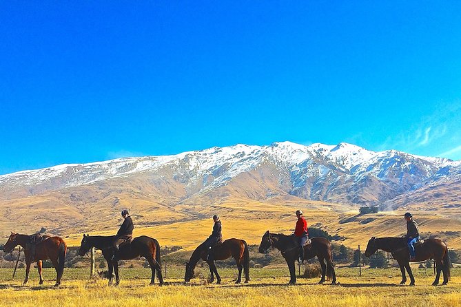 Cardrona High Country Pub Trail Horse Trek (Intermediate level+) - Gold-rush country with a local story