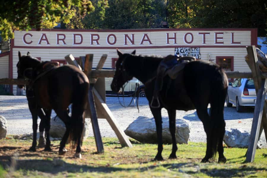 Cardrona Valley: Horse Trekking Experience - Why Cardrona Valley works so well on horseback
