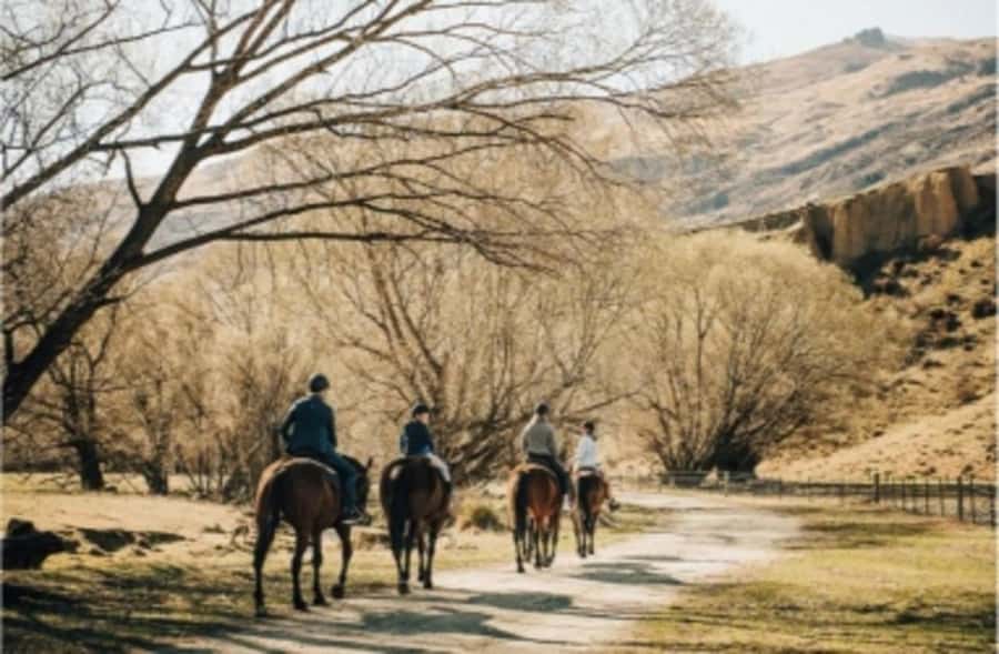 Cardrona Valley: Horse Trekking Experience - Your first lesson: steering, stopping, and settling in