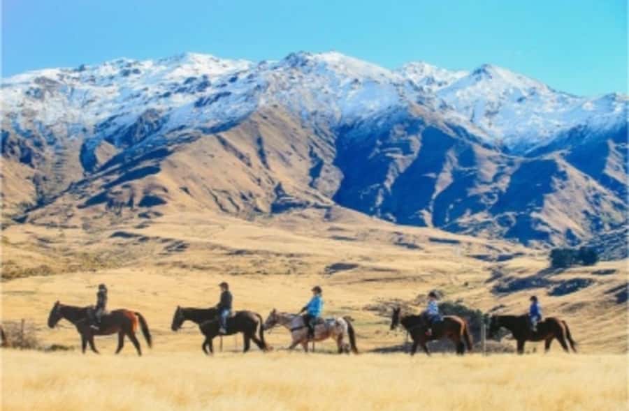 Cardrona Valley: Horse Trekking Experience - Loose reins and the pleasure of a slower pace