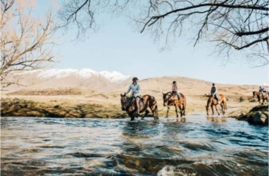 Cardrona Valley: Horse Trekking Experience - Who should book this ride