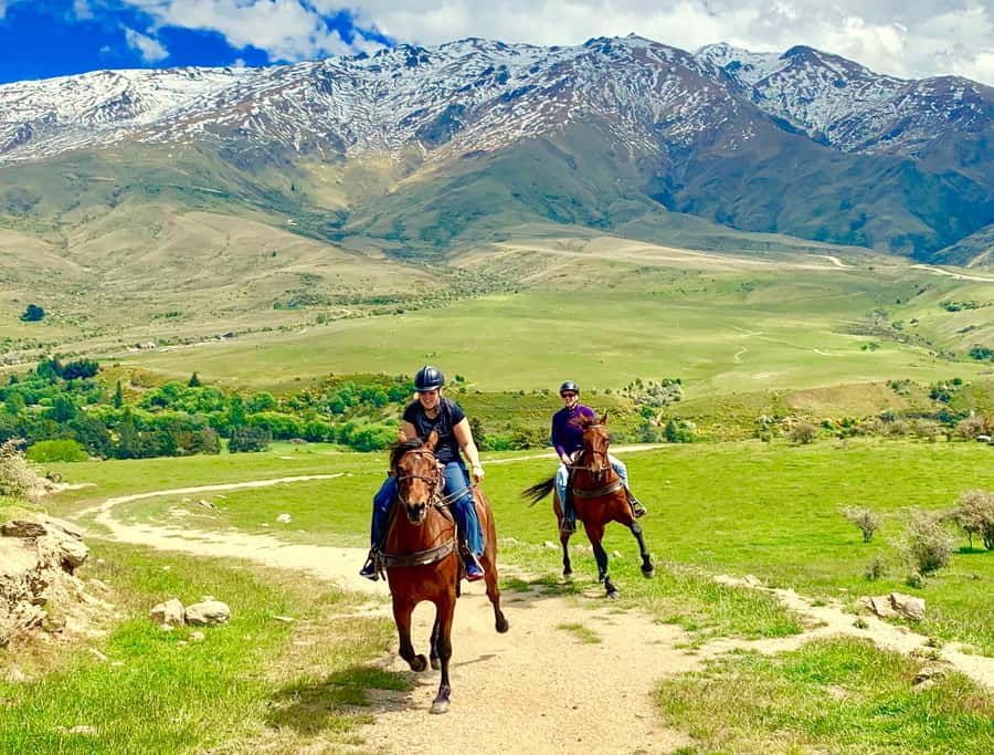 Cardrona Valley: Horse Trekking Experience - The Bra Fence is your starting point