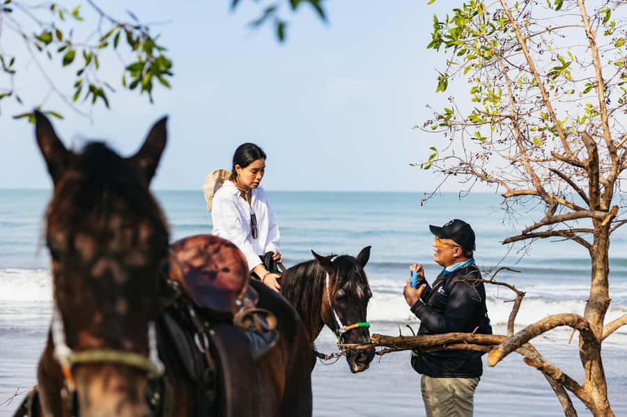 Cartagena: Beach Horse Ride and Colombian Equestrian Culture - Should You Book This Cartagena Horse Ride?
