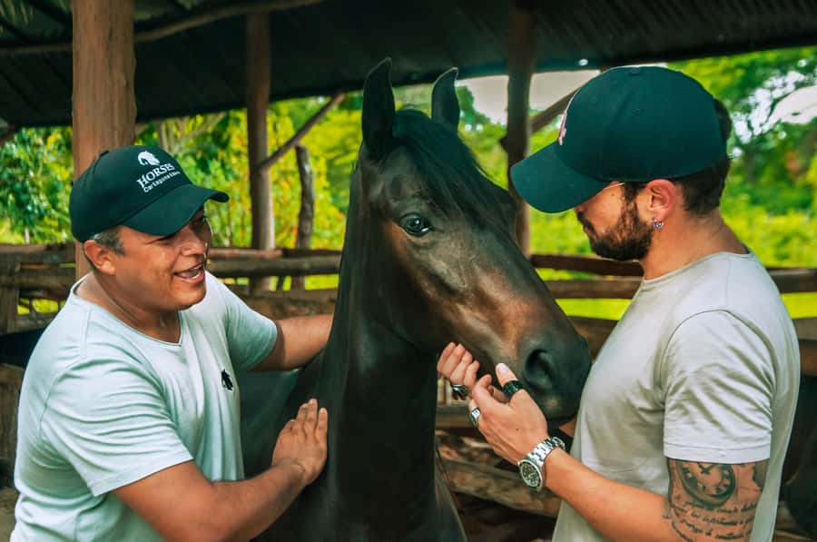 Cartagena: Beach Horse Ride and Colombian Equestrian Culture - Meeting Colombia’s Paso Fino Horses at the Ranch