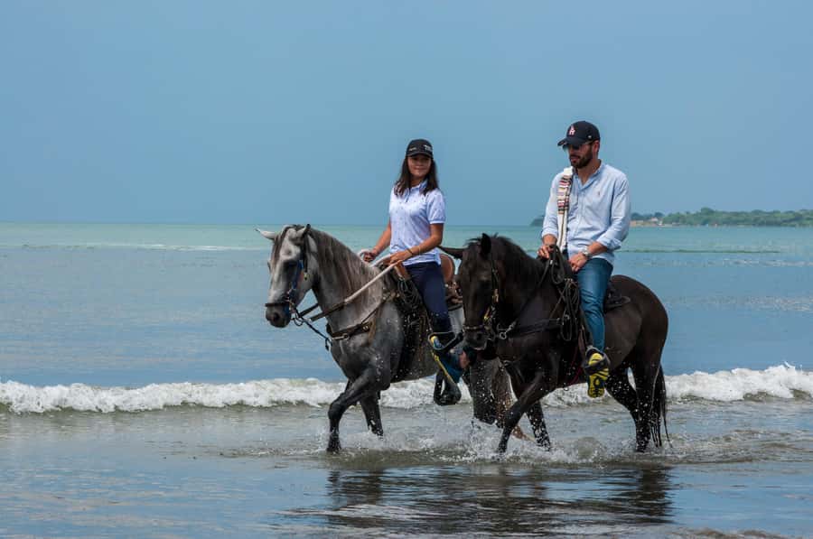 Cartagena: Beach Horse Ride and Colombian Equestrian Culture - Riding Beside the Sea