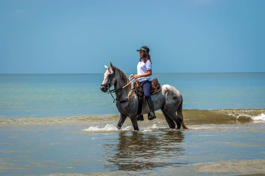 Cartagena: Beach Horse Ride and Colombian Equestrian Culture - The Restaurant Stop After the Ride